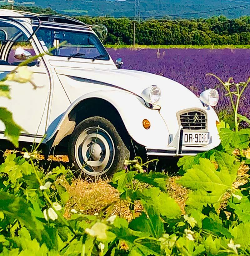 Voiture Citroën Mehari Ma collection Vintage - Le petit Souk